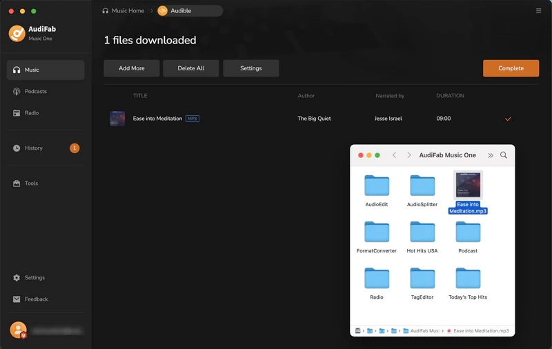 The downloaded audiobooks list in AudiFab Music One