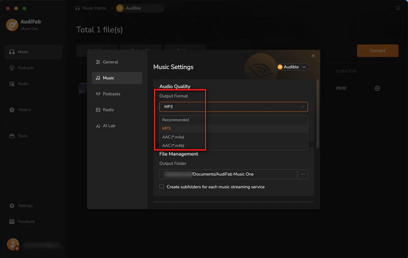 Music Settings in AudiFab Music One with the MP3 output format