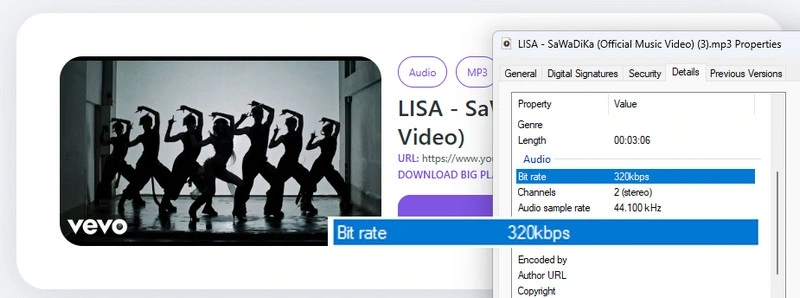 4kdownload test