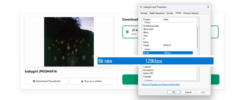 AnyDownloader Online Bandcamp Downloader test