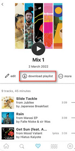 Bandcamp official app offline listening and official download links for purchased music