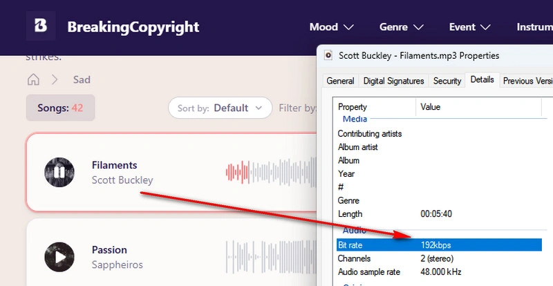 BreakingCopyright Free Sad Music
