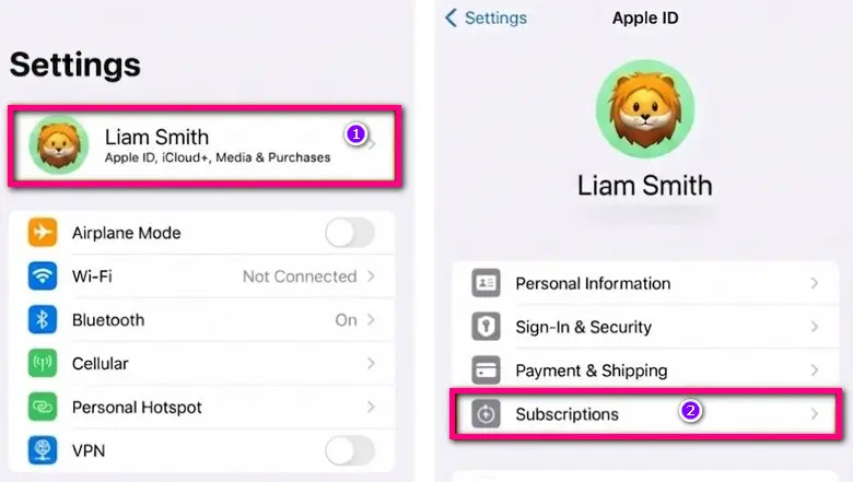 cancel spotify premium on iphone