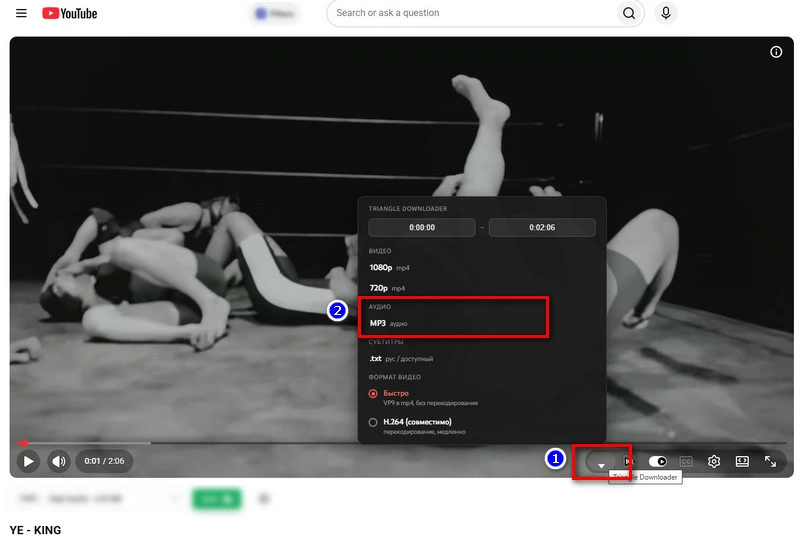Use GitHub YouTube Triangle Downloader