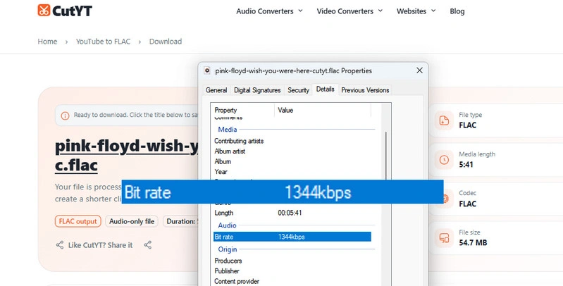 CutYT SoundCloud to FLAC Downloader Online Audio Test