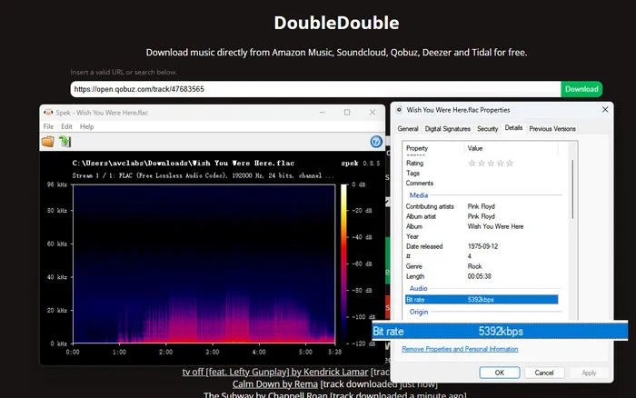 DoubleDouble Qobuz downloader