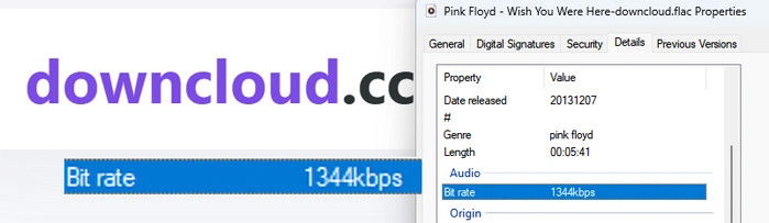 Downcloud Online SoundCloud Converter Audio Test