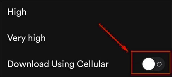 download using cellular option