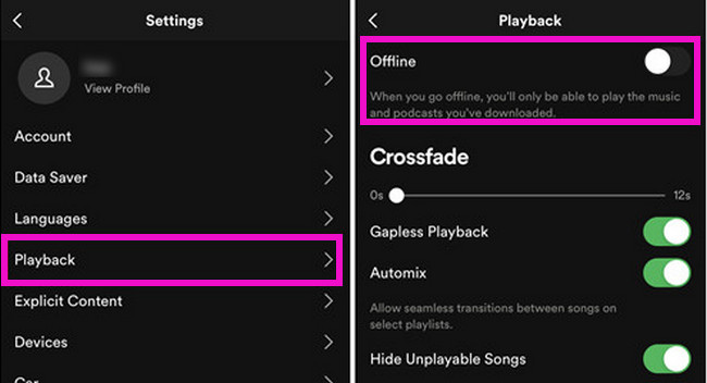 enable spotify offline mode