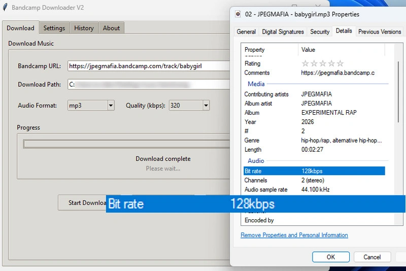 ElanMiles Bandcamp-Downloader GitHub test