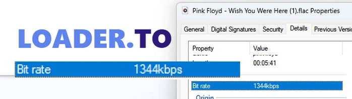 Loader SoundCloud to FLAC Converter Audio Test