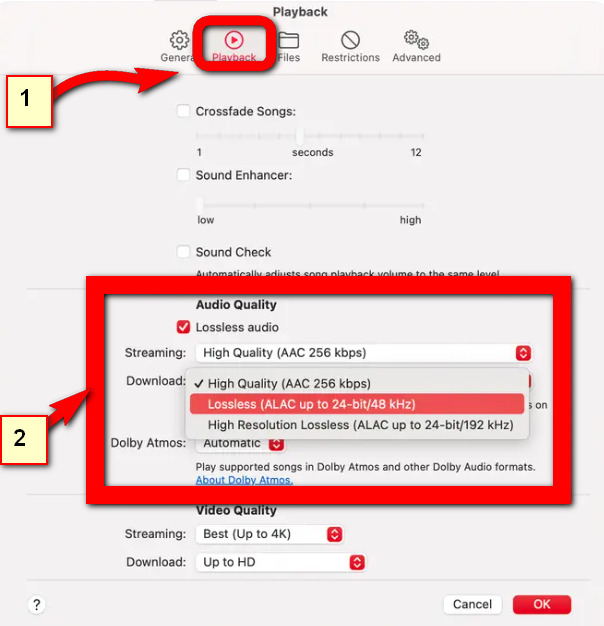 choose alac as the output format