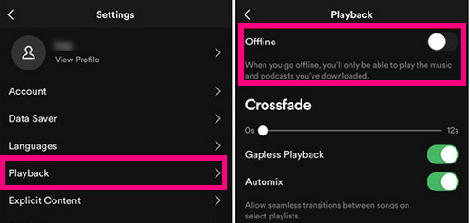 play spotify music offline on mobile