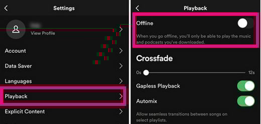 play spotify music offline on mobile