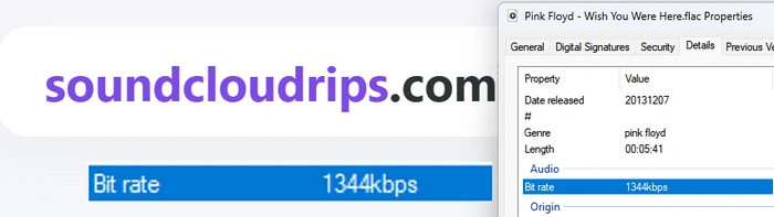 SoundCloudRips SoundCloud FLAC Online Converter Audio Test