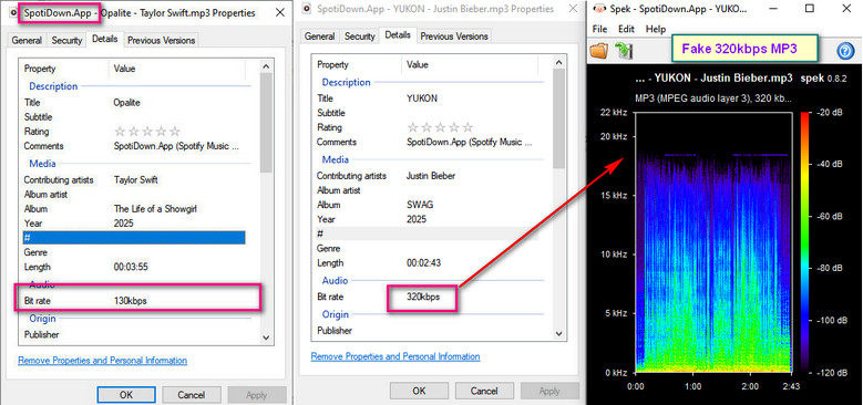 spotidown mp3 download test result