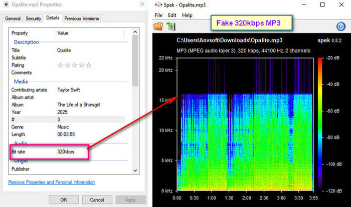 spotmate online mp3 download test result