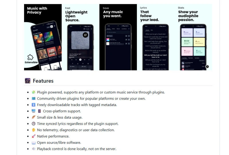 Spotube downloader