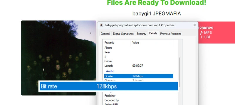 StepToDown Online Bandcamp Music Downloader test