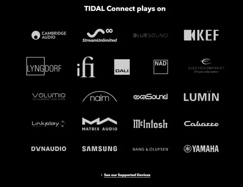 Tidal Connect Devices