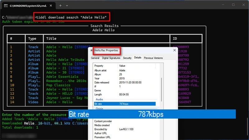 Tiddl Audio Test