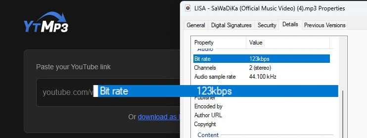 ytmp3 audio test