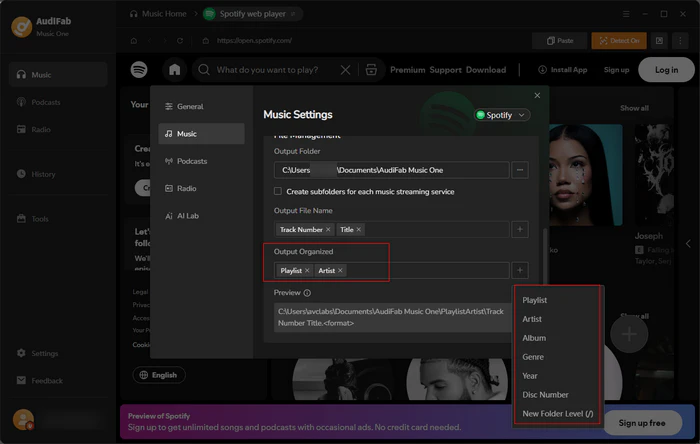 AudiFab Music One Output Organized settings - Playlist, Artist, Album, Genre, Year, Disc Number