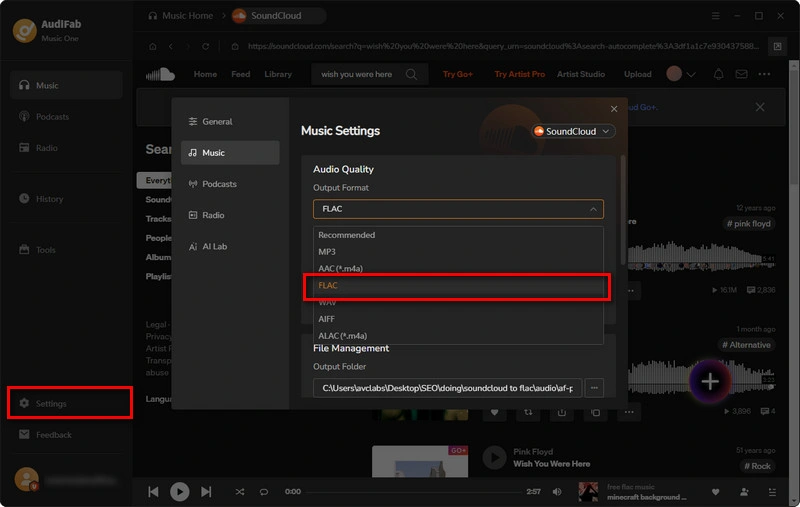 Choose FLAC as the output format