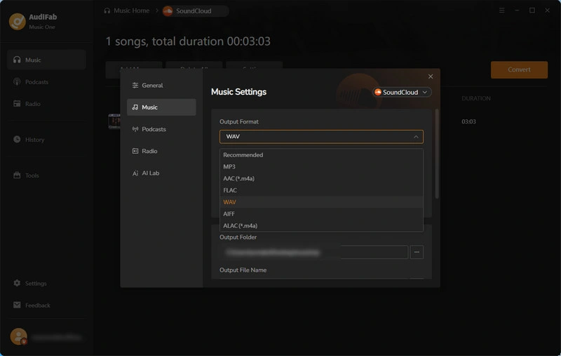 Choose WAV as the output format
