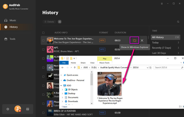 Check Spotify Video Downloads
