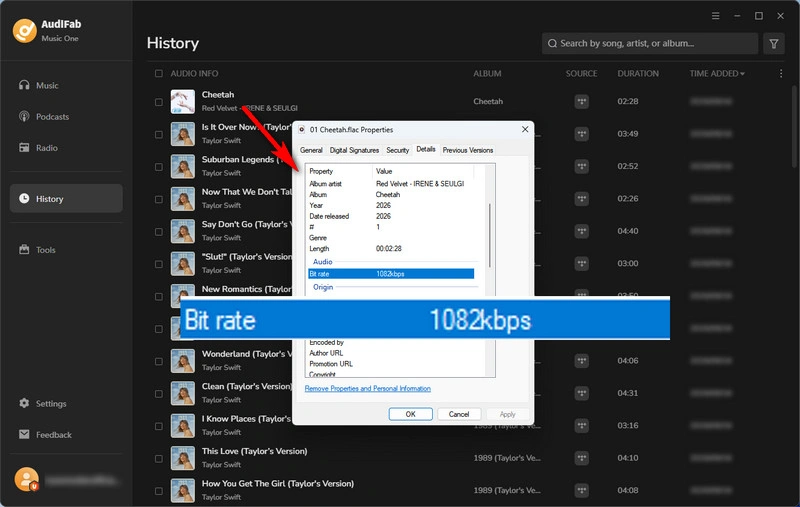 Find Your Converted TIDAL Music in History tab