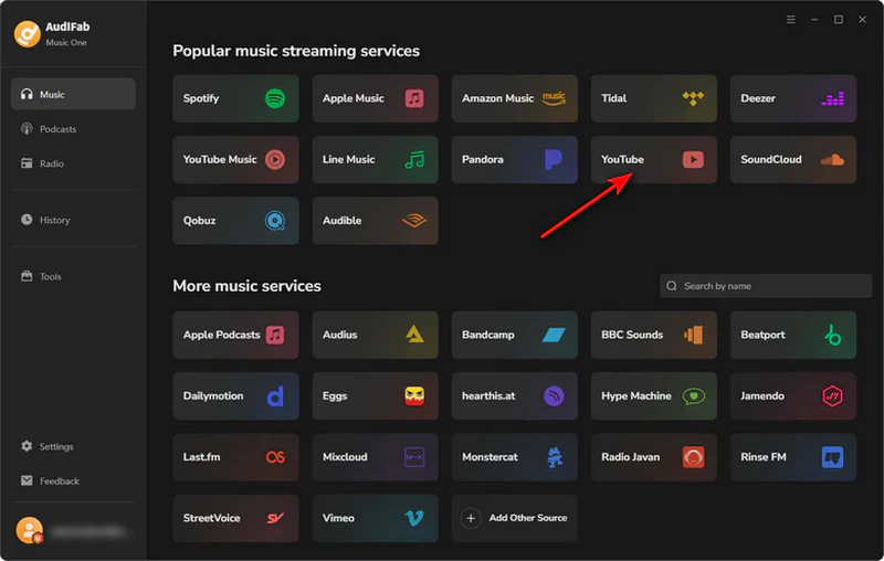 choose youtube from popular music streaming services in audifab