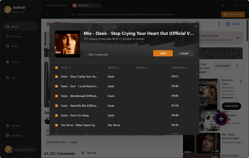 select tracks from a youtube playlist or mix to convert