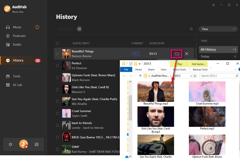 check converted history
